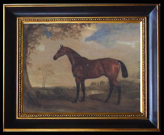 framed  John Ferneley Portrait of a Hunter Mare,The Property of Robert shafto of whitworth park,durham, Ta093